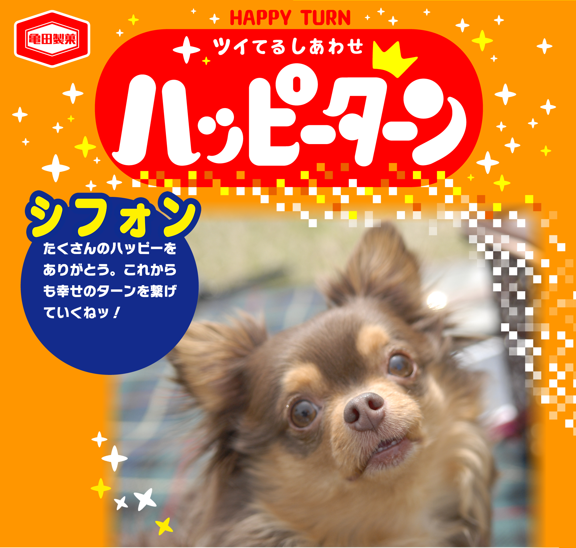 シフォン