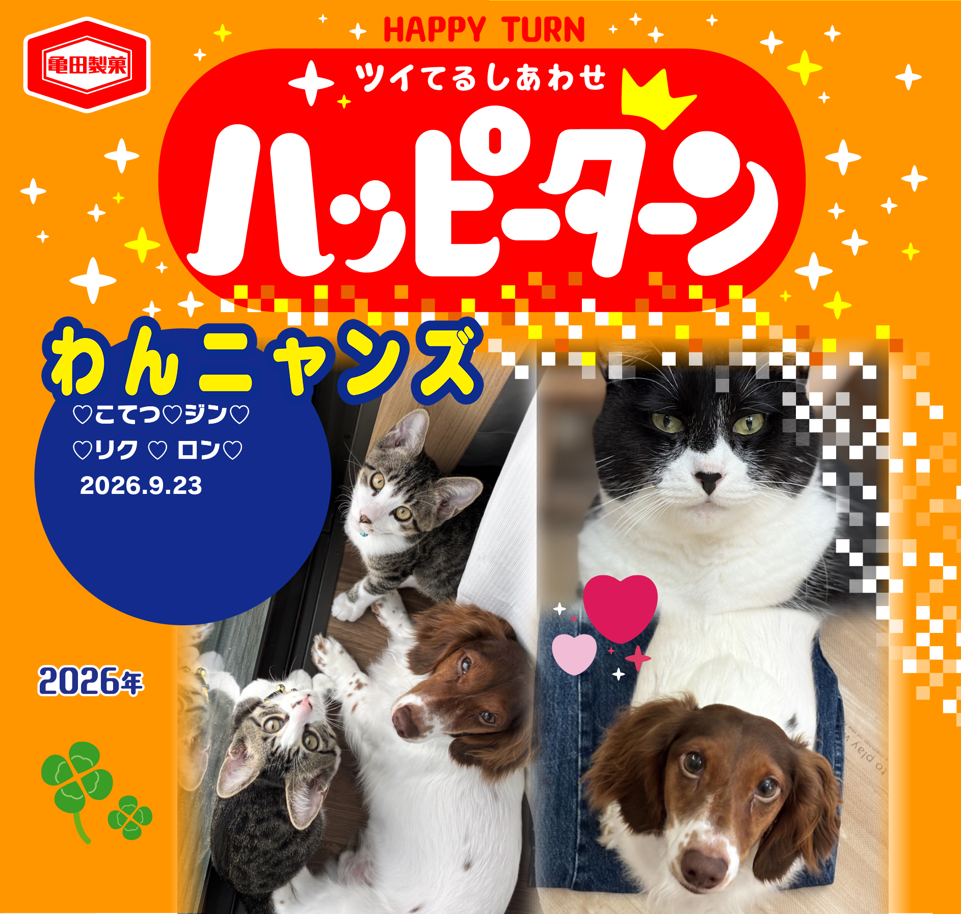 わんニャンズ