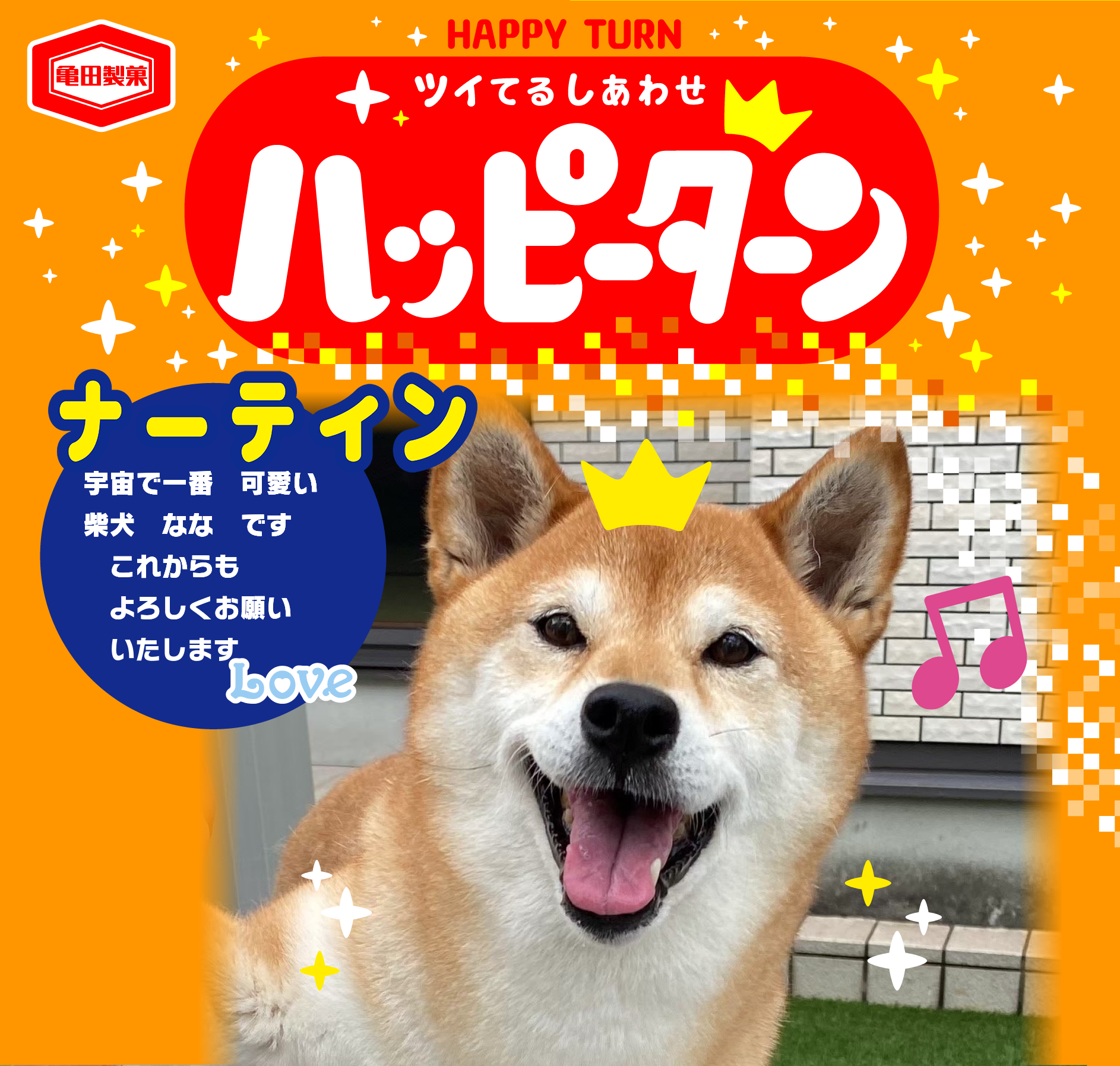 ナーティン