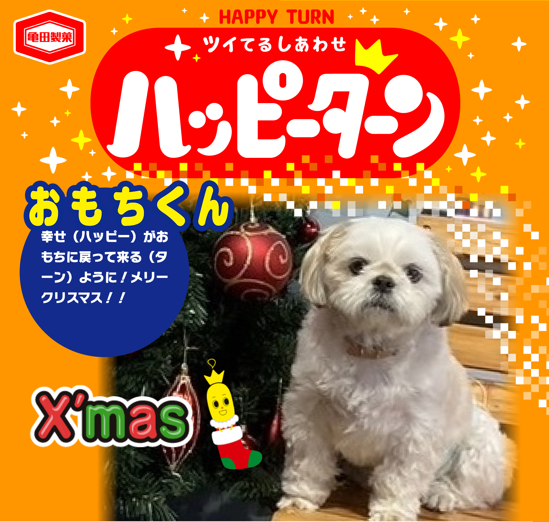 おもちくん