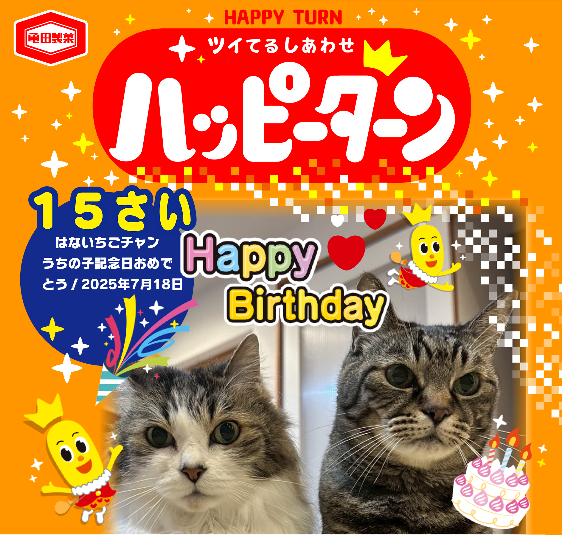 15さい
